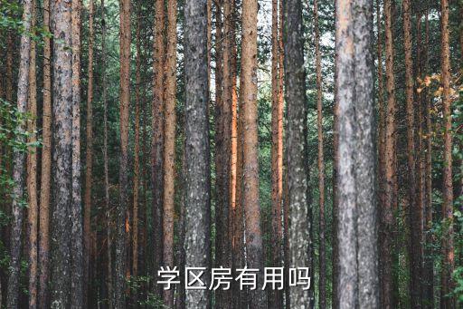 学区房到底是为了什么,买学区房是为了什么