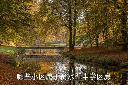 哪些小区属于衡水五中学区房
