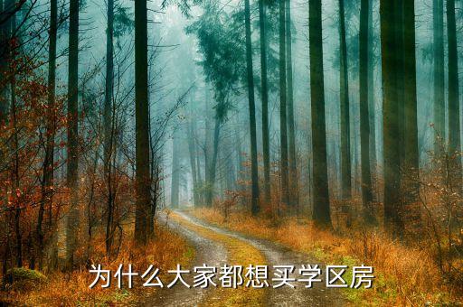 为什么大家都想买学区房