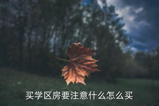 买学区房要注意什么怎么买