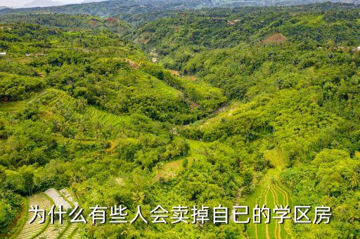 为什么有些人会卖掉自已的学区房