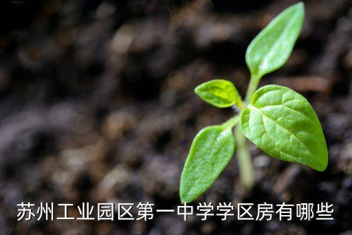 苏州工业园区第一中学学区房有哪些
