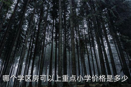 哪个学区房可以上重点小学价格是多少