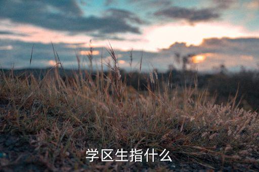 学区生指什么