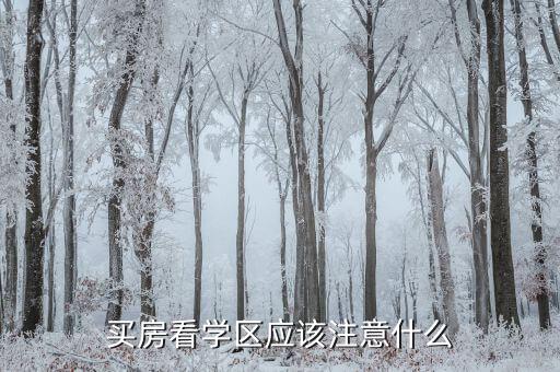 想买学区房注意什么，买房看学区应该注意什么