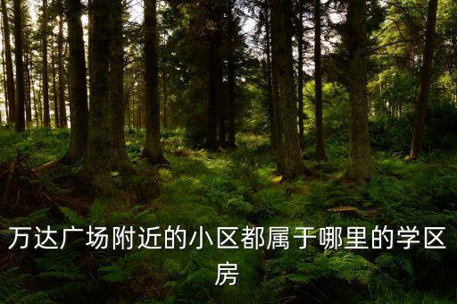 南京万豪大厦什么学区房，万达广场附近的小区都属于哪里的学区房