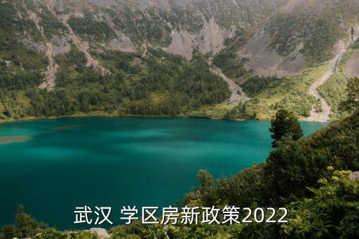 武汉青山学区房怎么样,怎么样才能知道学区房名额有没有用过