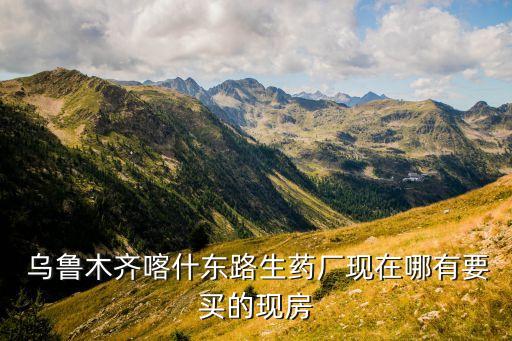 乌鲁木齐喀什东路生药厂现在哪有要买的现房