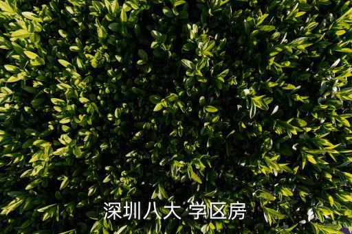 深圳八大 学区房