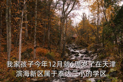 天津学区房有什么讲究吗，孩子入学是有房产证优先还是居住时间优先