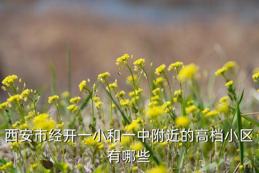 延安新区一中学区房有哪些