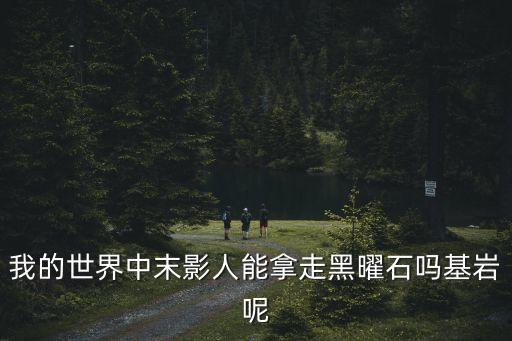 我的世界中末影人能拿走黑曜石吗基岩呢