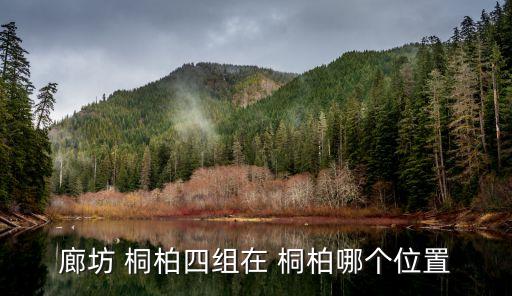 廊坊 桐柏四组在 桐柏哪个位置