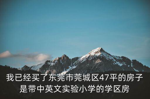 我已经买了东莞市莞城区47平的房子是带中英文实验小学的学区房