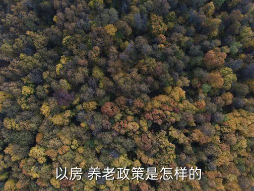  以房 养老政策是怎样的