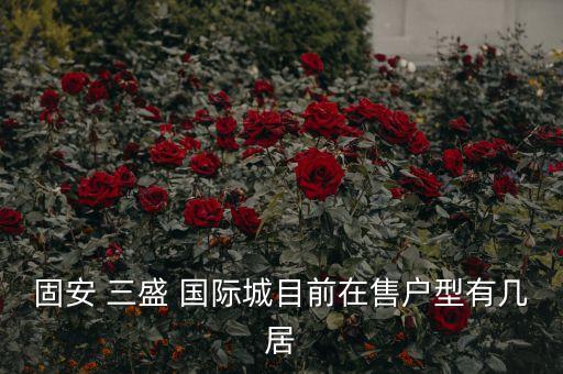 固安 三盛 国际城目前在售户型有几居