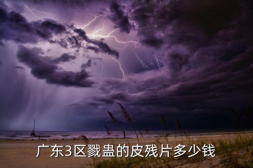广东3区戮蛊的皮残片多少钱