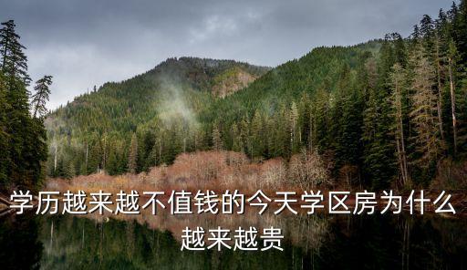 学历越来越不值钱的今天学区房为什么越来越贵
