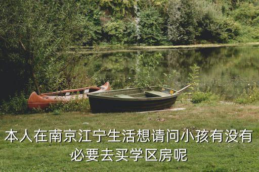 本人在南京江宁生活想请问小孩有没有必要去买学区房呢