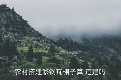 农村搭建彩钢瓦棚子算 违建吗
