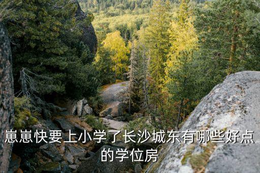 长沙学区房都有什么，长沙有哪些学区房坏境很好的