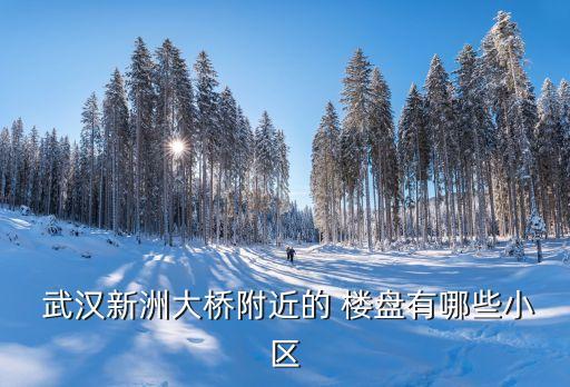  武汉新洲大桥附近的 楼盘有哪些小区