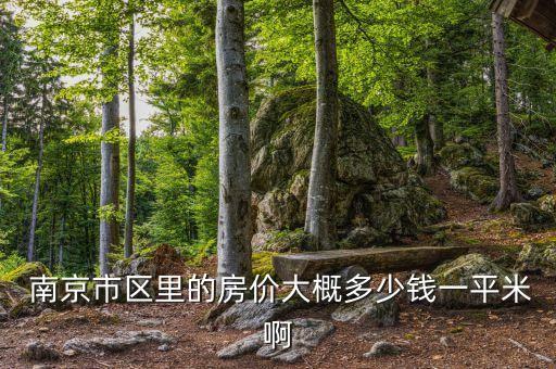  南京市区里的房价大概多少钱一平米啊