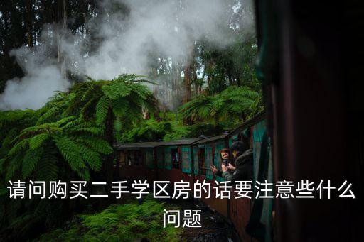 请问购买二手学区房的话要注意些什么问题