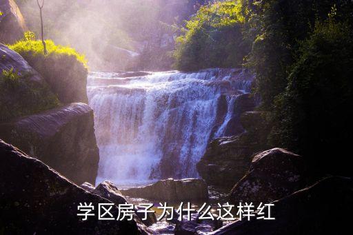学区房子为什么这样红
