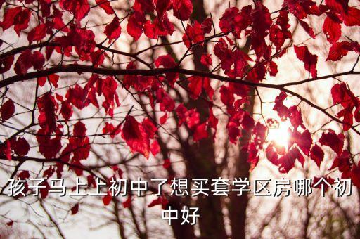 孩子马上上初中了想买套学区房哪个初中好