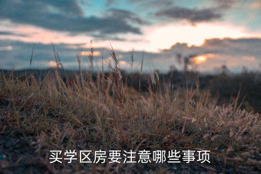买学区房需要注意什么手续，买学区房要注意哪些事项