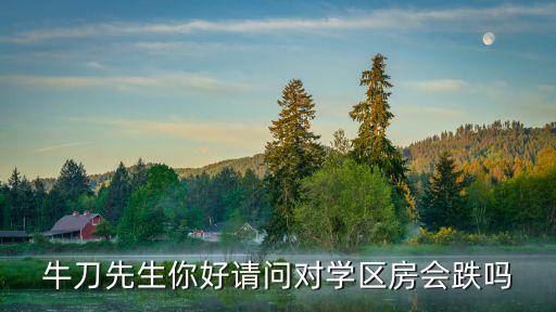 七中双学区房为什么下跌，牛刀先生你好请问对学区房会跌吗