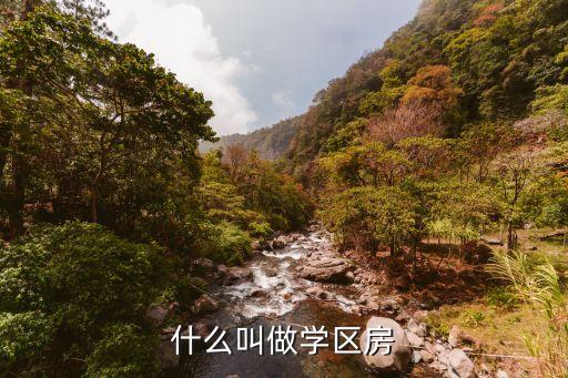 什么叫做学区房