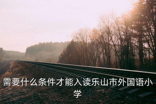 需要什么条件才能入读乐山市外国语小学