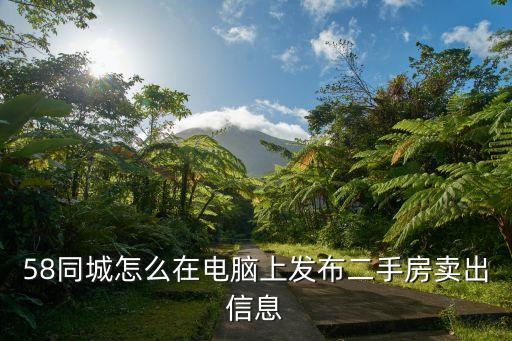 58同城怎么在电脑上发布二手房卖出信息