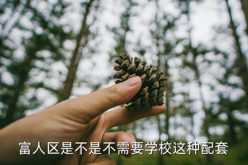 富人区是不是不需要学校这种配套