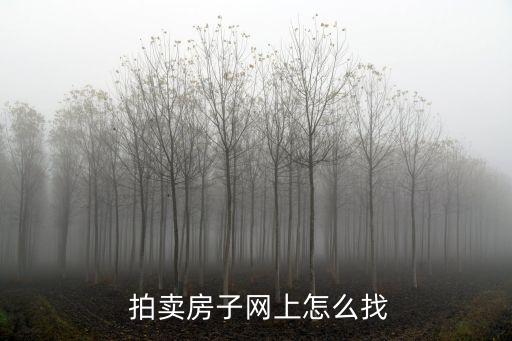  拍卖房子网上怎么找