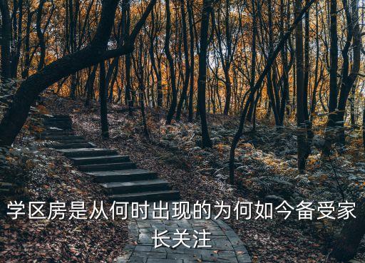 学区房是从何时出现的为何如今备受家长关注