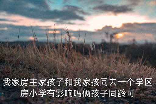 学区房上小学有什么影响，我家房主家孩子和我家孩同去一个学区房小学有影响吗俩孩子同龄可