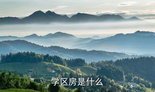 学区房是什么