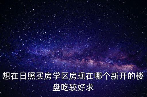 想在日照买房学区房现在哪个新开的楼盘吃较好求