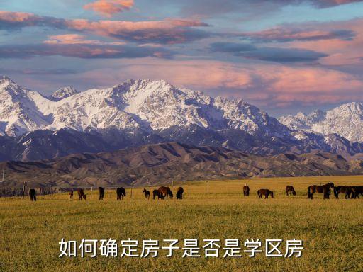 如何确定房子是否是学区房