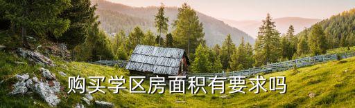 购买学区房面积有要求吗