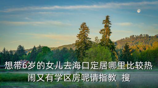 想带6岁的女儿去海口定居哪里比较热闹又有学区房呢请指教  搜