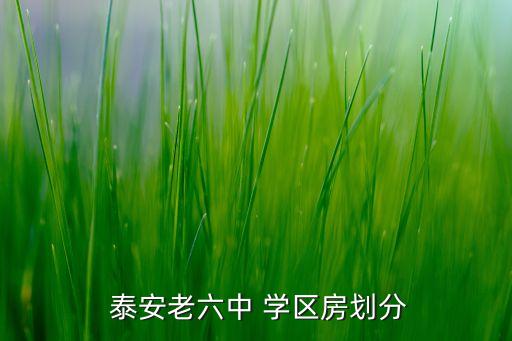 怎么查泰安的学区房,泰安学区房划分图2021年