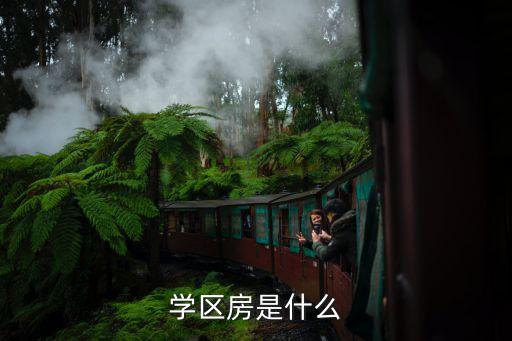 学区房是什么