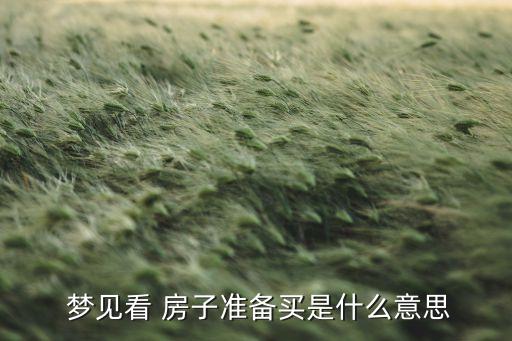  梦见看 房子准备买是什么意思