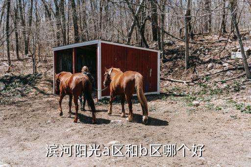 滨河阳光a区和b区哪个好