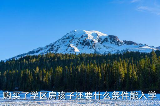 购买了学区房孩子还要什么条件能入学