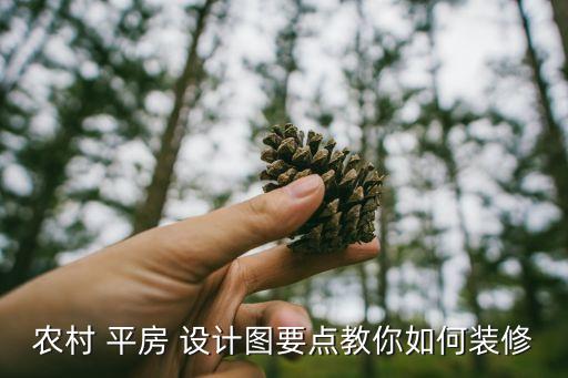 农村 平房 设计图要点教你如何装修